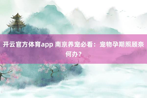 开云官方体育app 南京养宠必看：宠物孕期照顾奈何办？