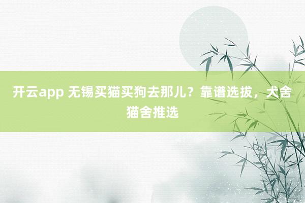 开云app 无锡买猫买狗去那儿？靠谱选拔，犬舍猫舍推选