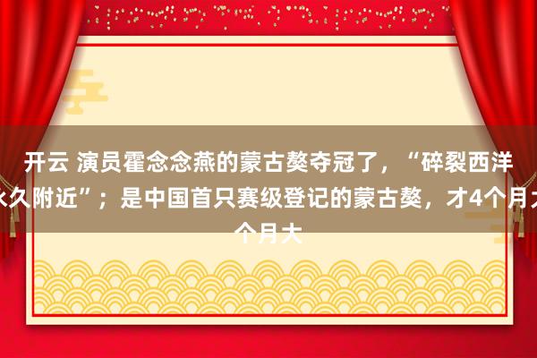开云 演员霍念念燕的蒙古獒夺冠了，“碎裂西洋永久附近”；是中国首只赛级登记的蒙古獒，才4个月大