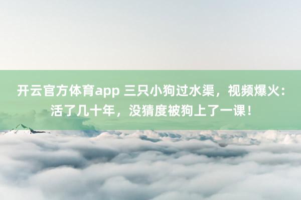 开云官方体育app 三只小狗过水渠，视频爆火：活了几十年，没猜度被狗上了一课！