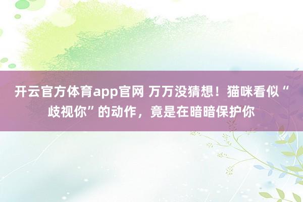 开云官方体育app官网 万万没猜想！猫咪看似“歧视你”的动作，竟是在暗暗保护你