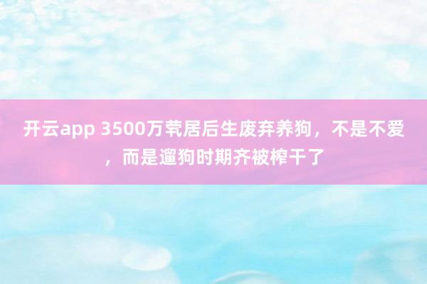 开云app 3500万茕居后生废弃养狗，不是不爱，而是遛狗时期齐被榨干了