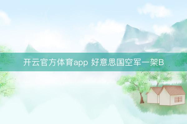 开云官方体育app 好意思国空军一架B